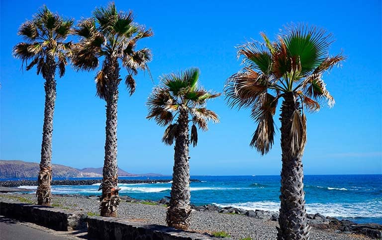 Best Surf Spots In Europe For Beginners: Playa De Las Américas, Tenerife, Sapin
