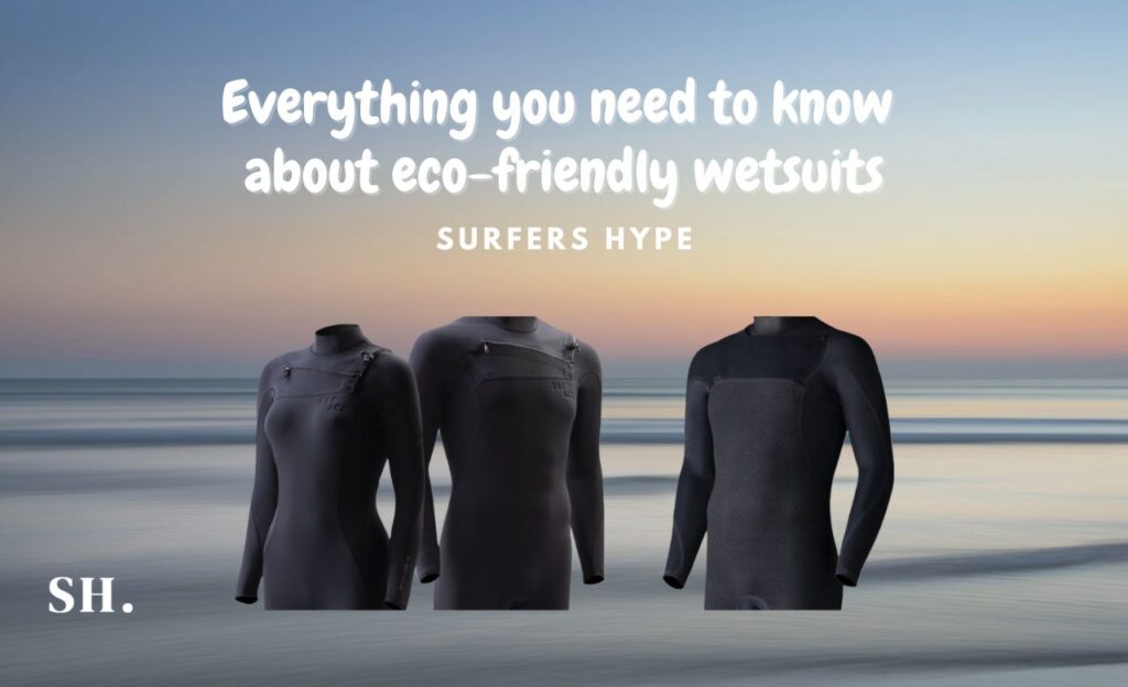 eco-friendly wetsuits: Everything you need to know about them